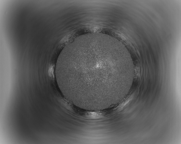 X0000095950286200801111356