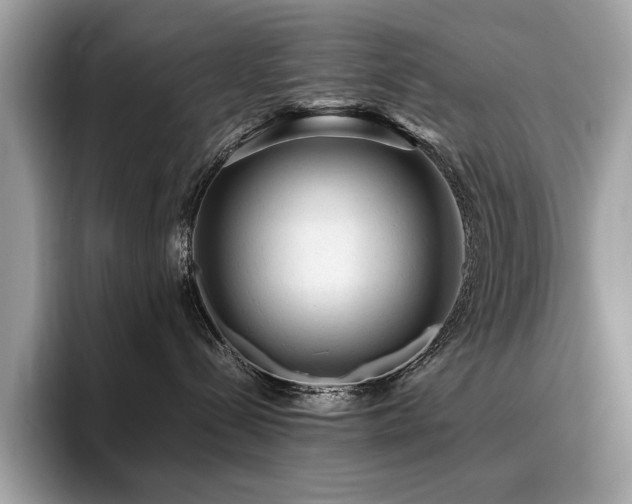 X0000095950288200801111356