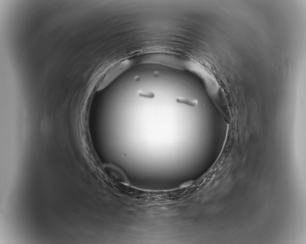 X0000095950289200801111355