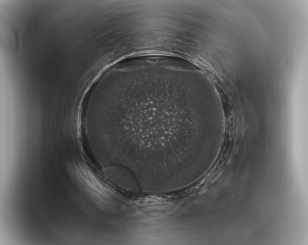 X0000095950290200801111355