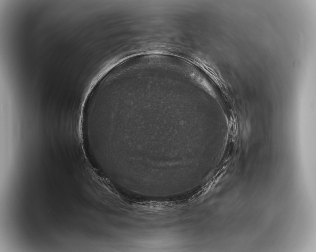 X0000095950292200801111355