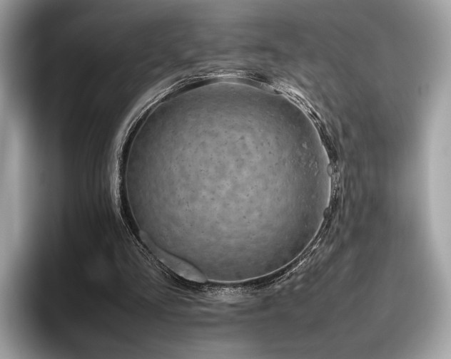 X0000095950293200801111355