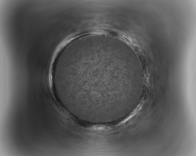 X0000095950294200801111355