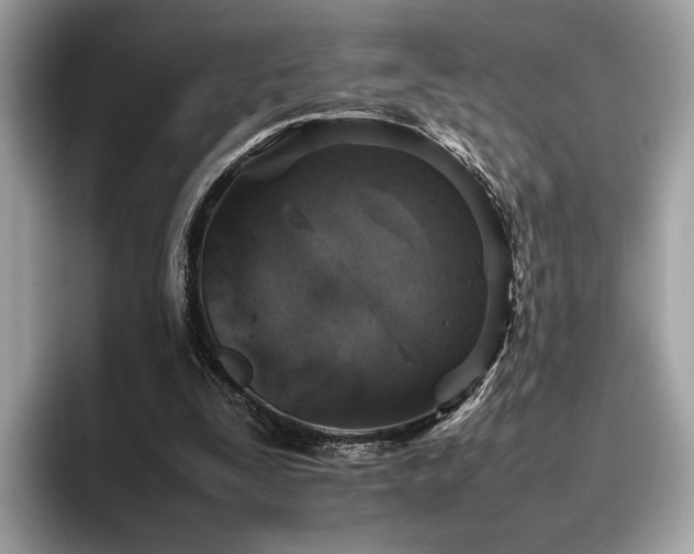X0000095950295200801111355