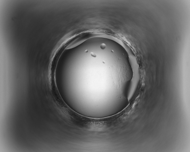 X0000095950296200801111355