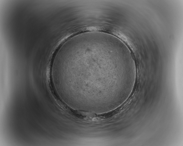 X0000095950297200801111355