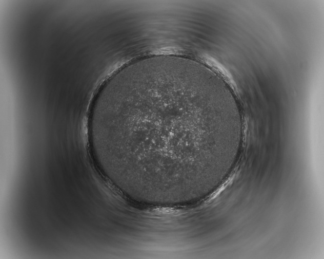 X0000095950298200801111355