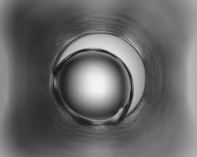 X0000095950301200801111355