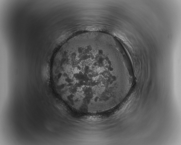 X0000095950303200801111355