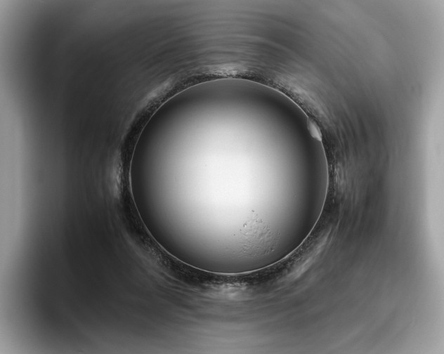 X0000095950304200801111355