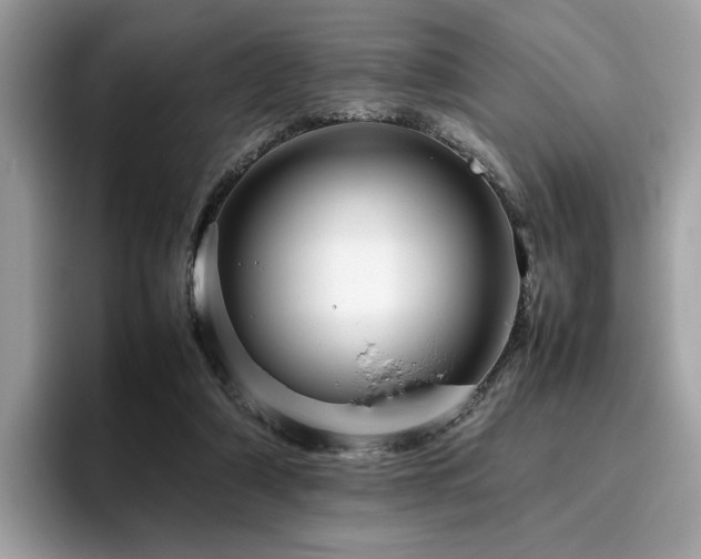 X0000095950306200801111355