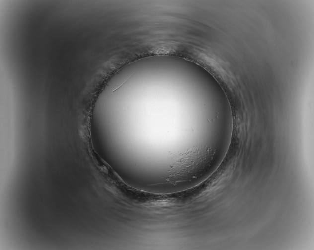 X0000095950307200801111355
