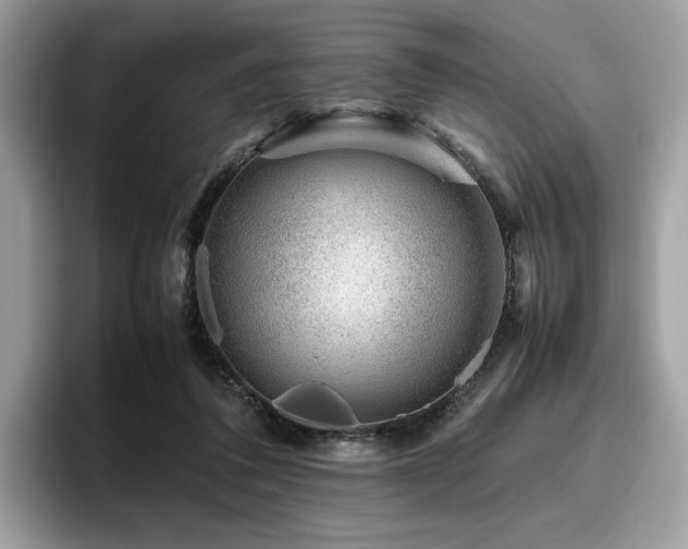 X0000095950308200801111355