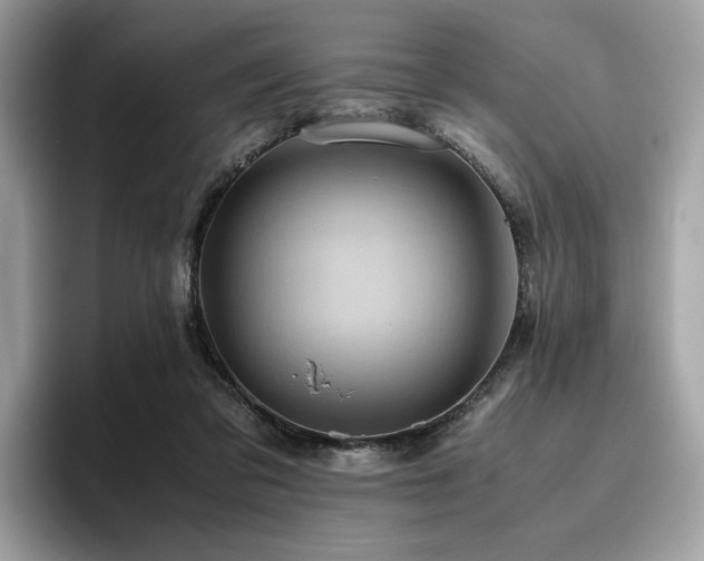 X0000095950309200801111355
