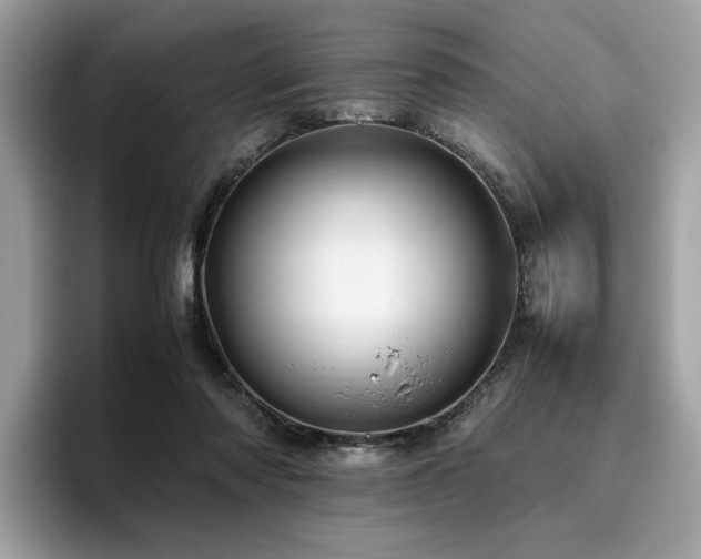 X0000095950310200801111355