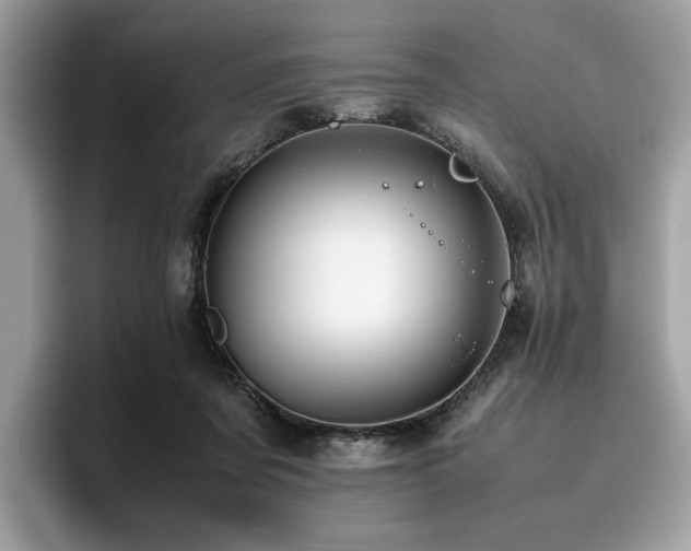 X0000095950311200801111355