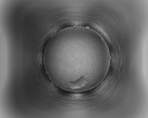 X0000095950313200801111355