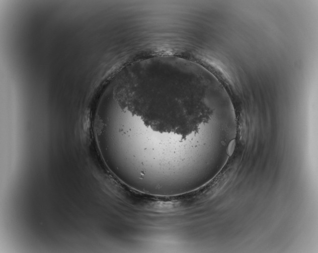 X0000095950314200801111355