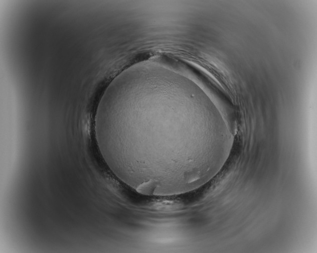 X0000095950315200801111355