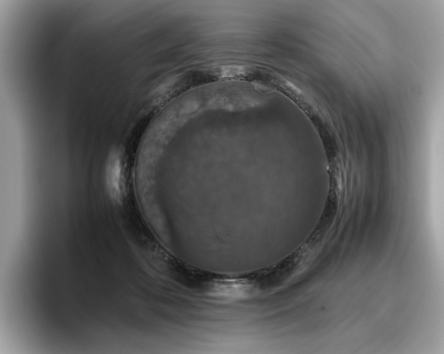 X0000095950316200801111355