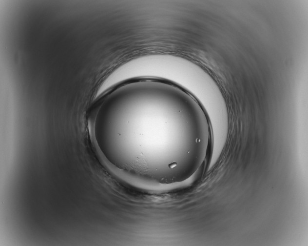 X0000095950317200801111355