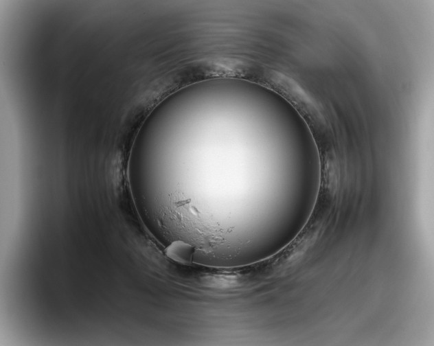 X0000095950318200801111355