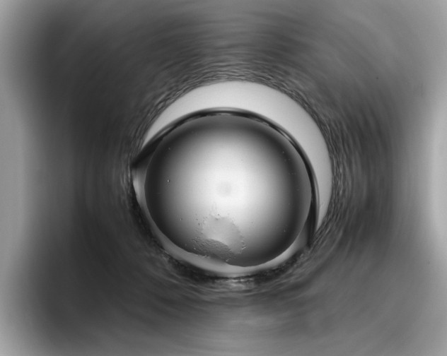 X0000095950320200801111355