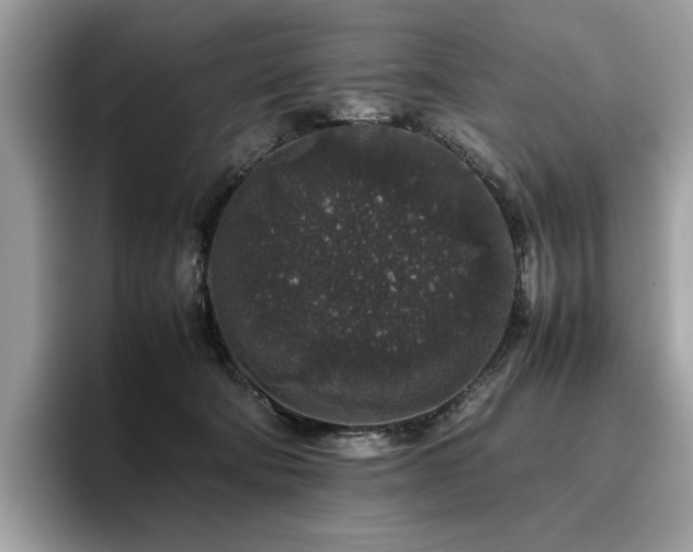 X0000095950322200801111355