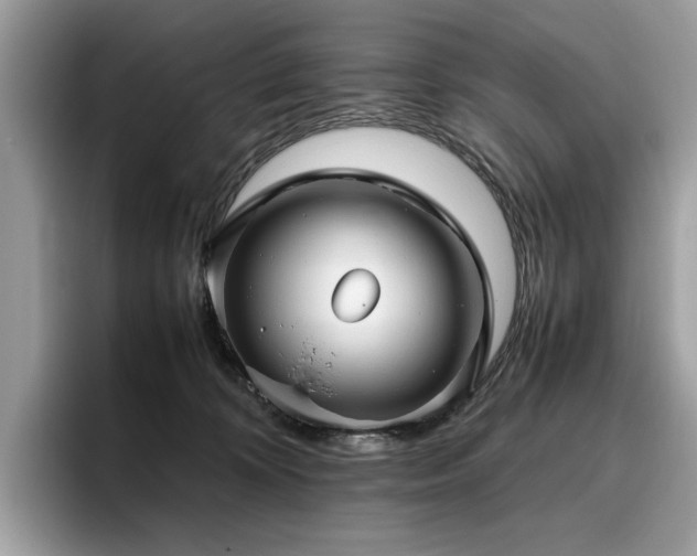 X0000095950324200801111355