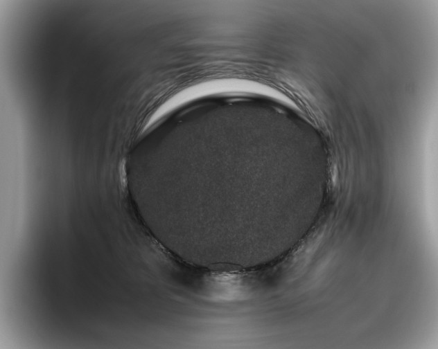 X0000095950325200801111355