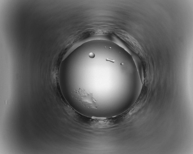 X0000095950329200801111355