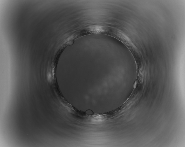 X0000095950330200801111355