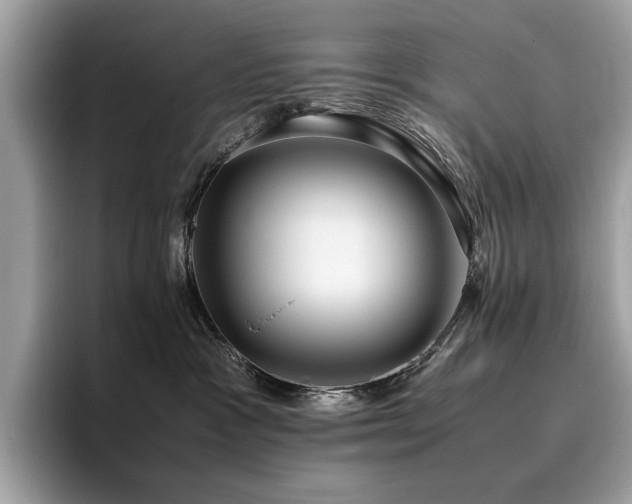 X0000095950333200801111355