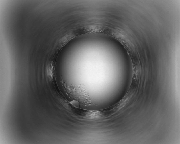 X0000095950334200801111355