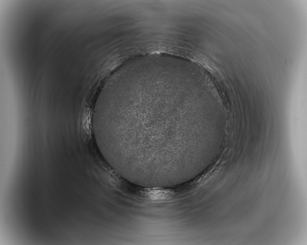 X0000095950336200801111355
