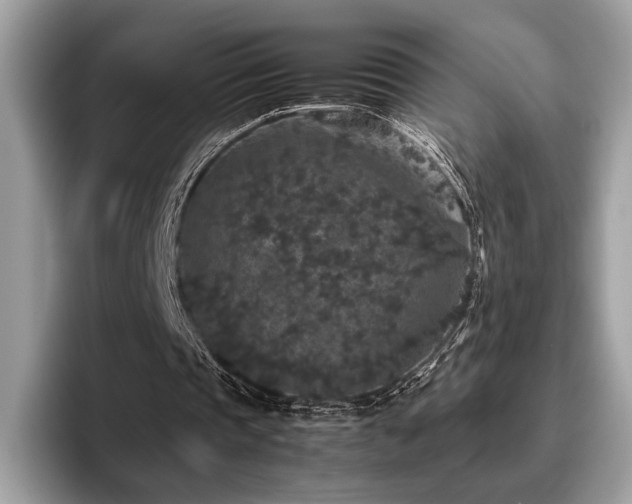 X0000095950337200801111354