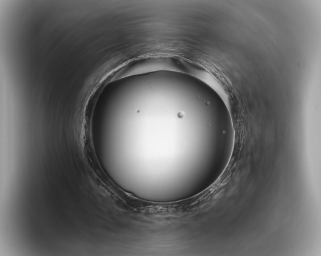 X0000095950338200801111354