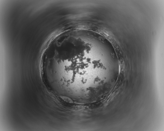 X0000095950339200801111354