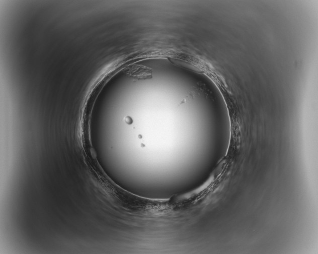 X0000095950340200801111354