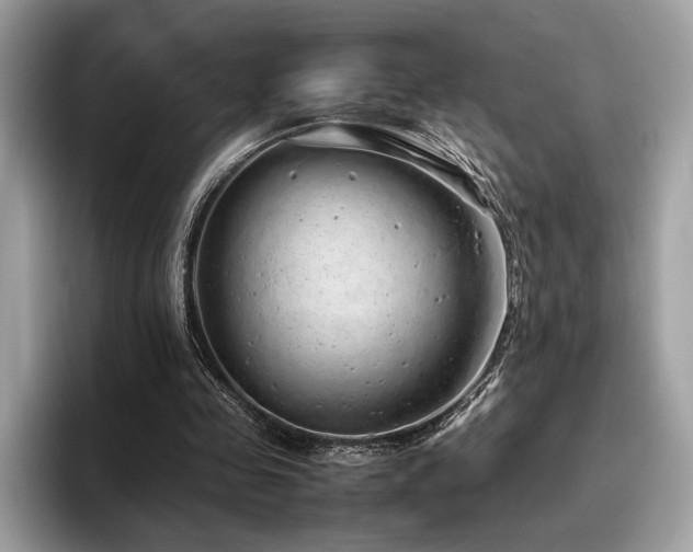 X0000095950341200801111354