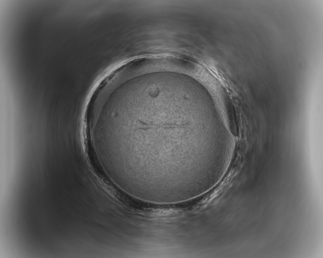 X0000095950342200801111354