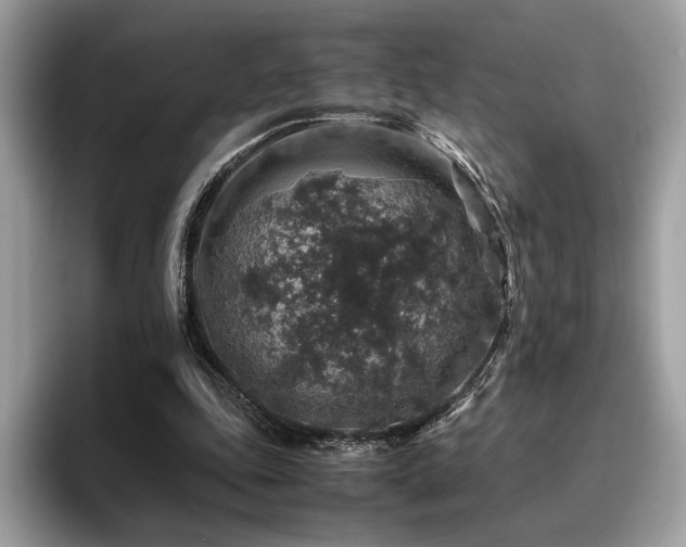 X0000095950343200801111354