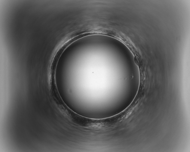 X0000095950344200801111354