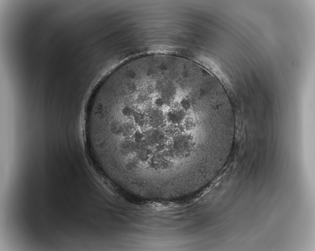 X0000095950346200801111354
