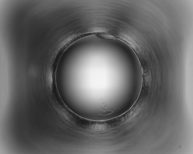 X0000095950350200801111354