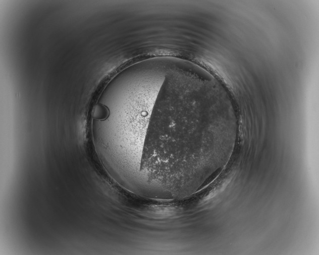 X0000095950351200801111354