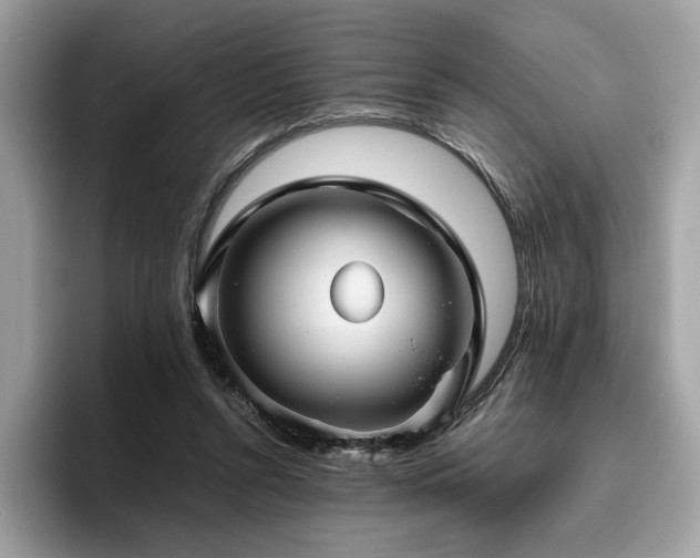 X0000095950352200801111354