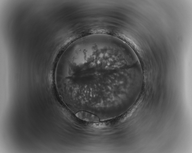 X0000095950353200801111354