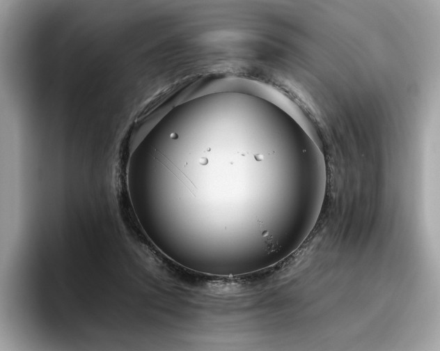 X0000095950354200801111354