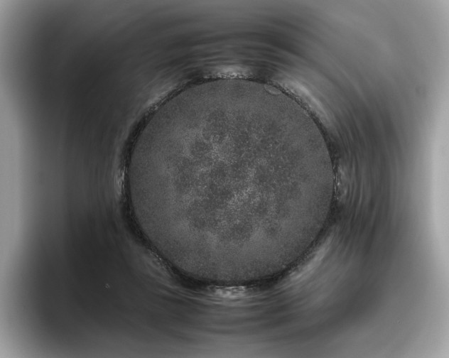X0000095950355200801111354